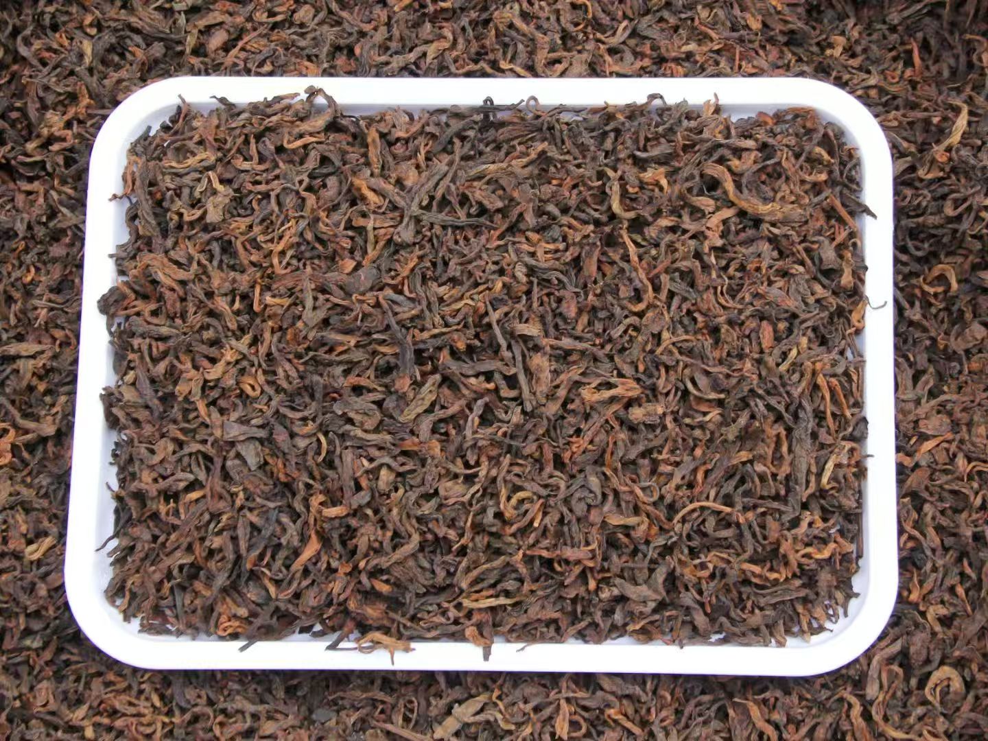 2019年勐海布朗山大金芽普洱熟茶散茶